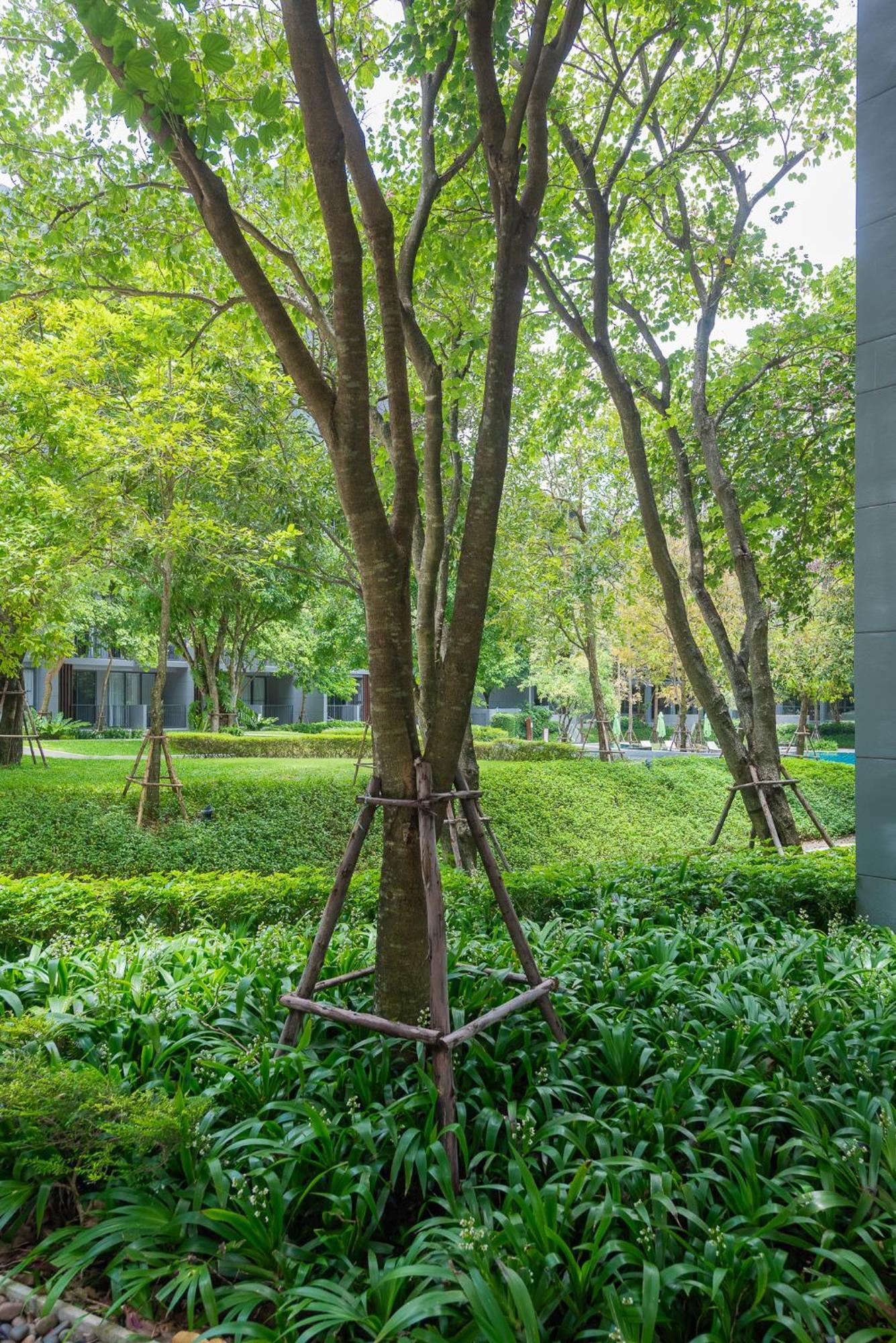 The Valley At Sunshine, Panoramic Pak Chong 外观 照片